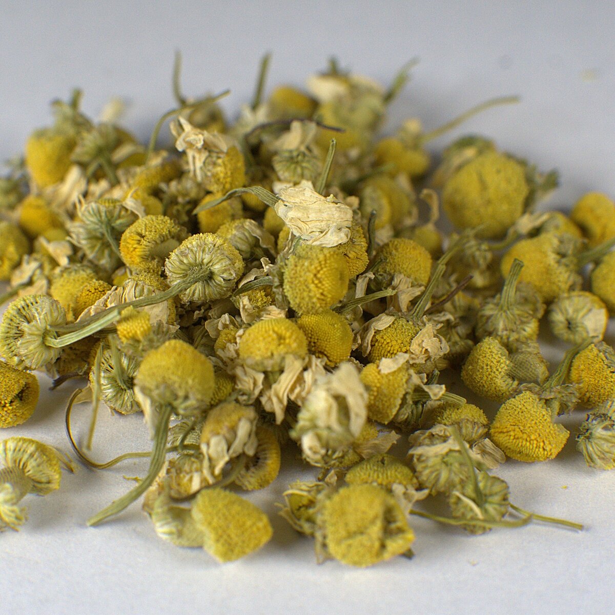 Chamomile